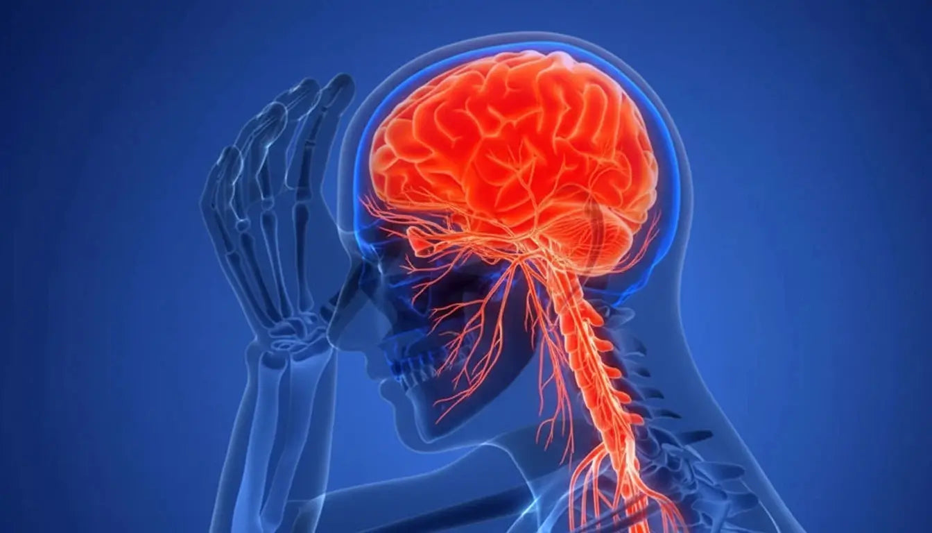 The Positive Effect Of Red Light Therapy Hat On Brain Diseases